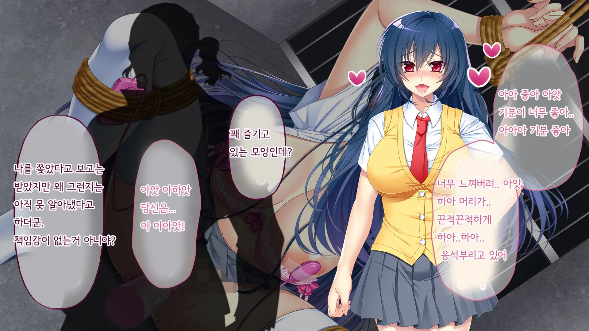 Nigeba Nashi! Misshitsu Chikan Densha ~ Otori Sosakan No Hamerare Jigoku | 도망칠수 없어! 밀실치한전차 ~함정수사관의 삽입지옥~